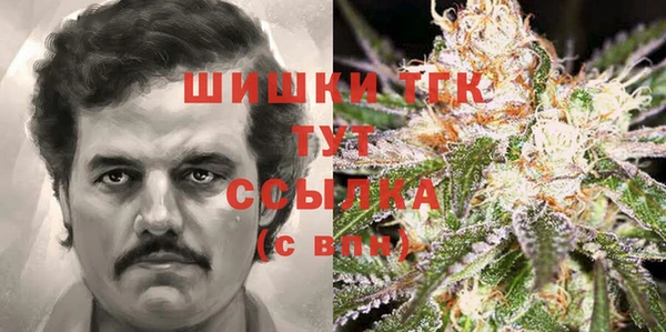 винт Вяземский