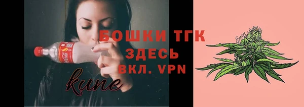 винт Вяземский
